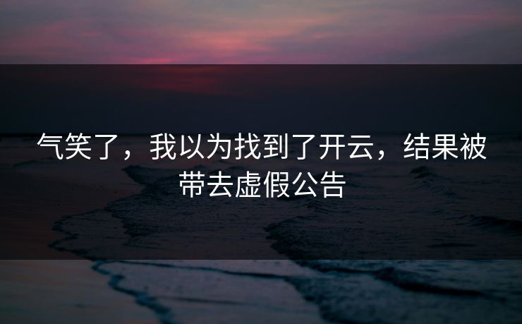 气笑了，我以为找到了开云，结果被带去虚假公告