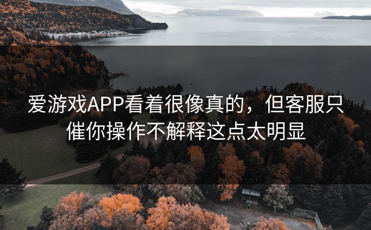 爱游戏APP看着很像真的，但客服只催你操作不解释这点太明显