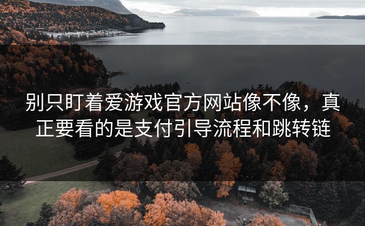 别只盯着爱游戏官方网站像不像，真正要看的是支付引导流程和跳转链